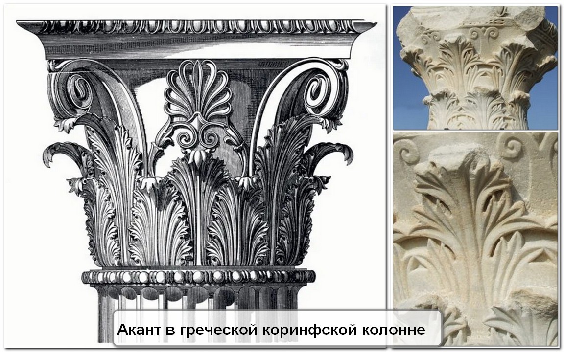 Орнамент древней Греции- акант